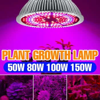 Светодиодные лампы для выращивания растений Полный спектр Светодиодный Прожектор для растений 220V Гидропонный Светильник для выращивания Семян Комнатных цветов Фито Лампа